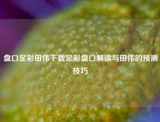 盘口足彩田伟下载足彩盘口解读与田伟的预测技巧
