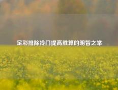 足彩排除冷门提高胜算的明智之举