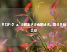 足彩胜负16171期预测把握市场脉搏，赢得足球盛宴