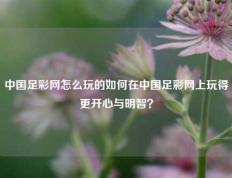 中国足彩网怎么玩的如何在中国足彩网上玩得更开心与明智？