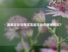 英超足彩在哪买英超足彩在哪里购买？