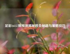 足彩16157期预测揭秘胜负秘籍与策略技巧