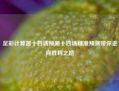 足彩计算器十四场预测十四场精准预测带你走向胜利之路