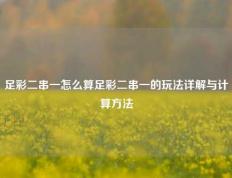 足彩二串一怎么算足彩二串一的玩法详解与计算方法