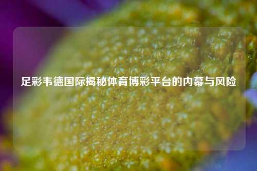 足彩韦德国际揭秘体育博彩平台的内幕与风险