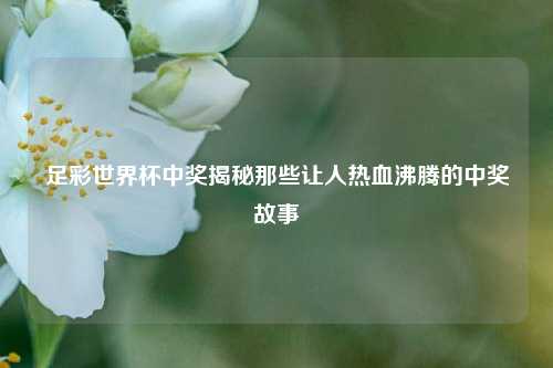 足彩世界杯中奖揭秘那些让人热血沸腾的中奖故事