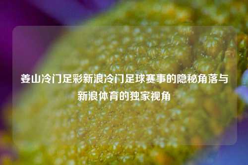 姜山冷门足彩新浪冷门足球赛事的隐秘角落与新浪体育的独家视角
