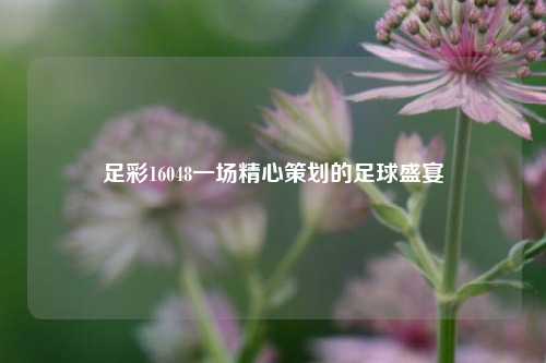 足彩16048一场精心策划的足球盛宴