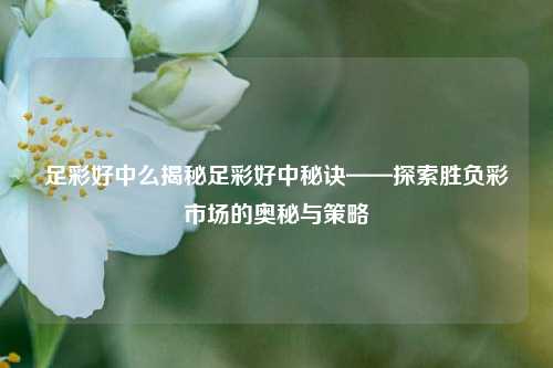 足彩好中么揭秘足彩好中秘诀——探索胜负彩市场的奥秘与策略