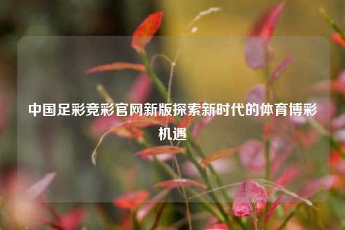 中国足彩竞彩官网新版探索新时代的体育博彩机遇