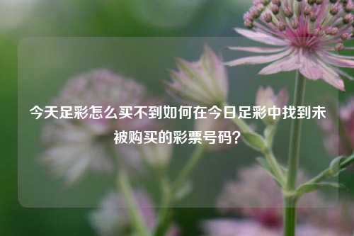 今天足彩怎么买不到如何在今日足彩中找到未被购买的彩票号码？