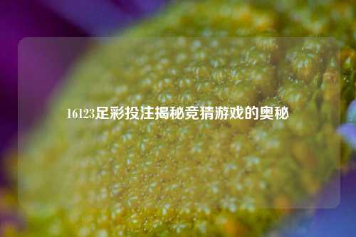 16123足彩投注揭秘竞猜游戏的奥秘