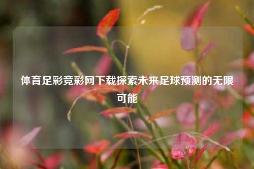 体育足彩竞彩网下载探索未来足球预测的无限可能