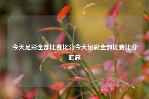 今天足彩全部比赛比分今天足彩全部比赛比分汇总