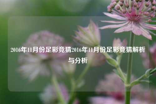 2016年11月份足彩竞猜2016年11月份足彩竞猜解析与分析