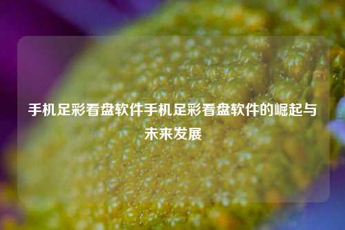 手机足彩看盘软件手机足彩看盘软件的崛起与未来发展