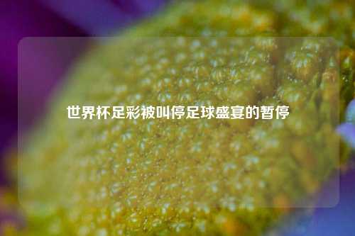 世界杯足彩被叫停足球盛宴的暂停