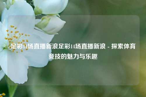 足彩14场直播新浪足彩14场直播新浪 - 探索体育竞技的魅力与乐趣