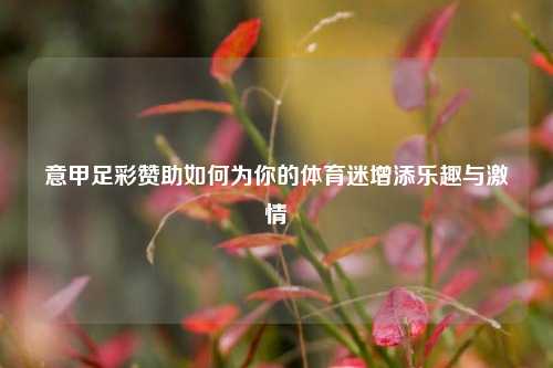 意甲足彩赞助如何为你的体育迷增添乐趣与激情