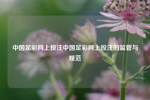 中国足彩网上投注中国足彩网上投注的监管与规范