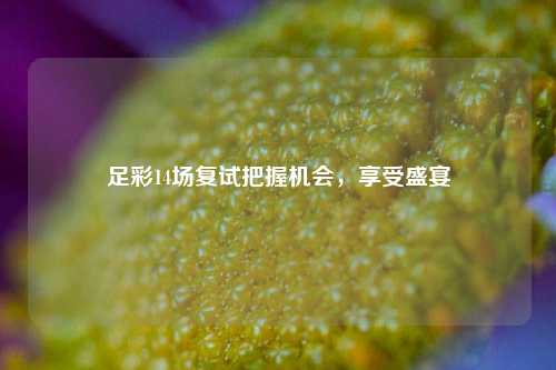 足彩14场复试把握机会，享受盛宴