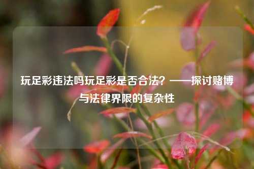 玩足彩违法吗玩足彩是否合法？——探讨赌博与法律界限的复杂性
