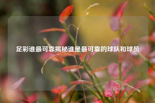 足彩谁最可靠揭秘谁是最可靠的球队和球员