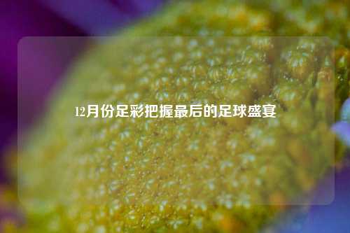 12月份足彩把握最后的足球盛宴