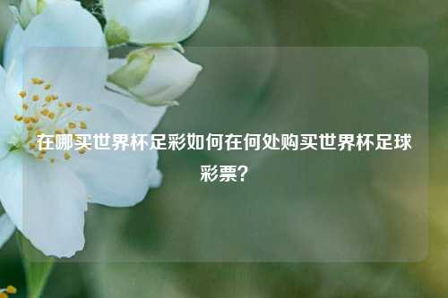 在哪买世界杯足彩如何在何处购买世界杯足球彩票？