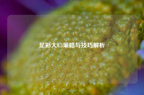 足彩大0.5策略与技巧解析