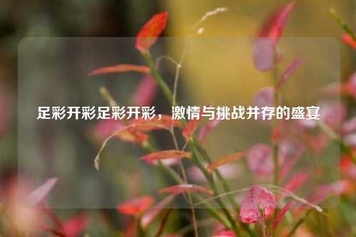 足彩开彩足彩开彩，激情与挑战并存的盛宴