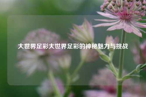 大世界足彩大世界足彩的神秘魅力与挑战