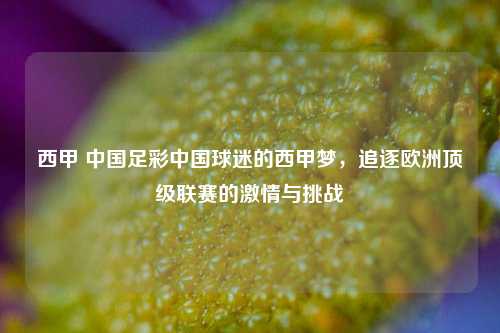 西甲 中国足彩中国球迷的西甲梦，追逐欧洲顶级联赛的激情与挑战