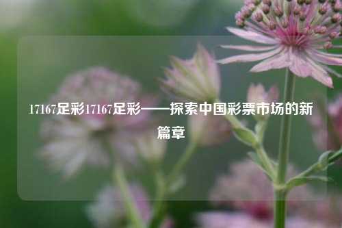 17167足彩17167足彩——探索中国彩票市场的新篇章