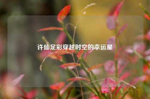 许仙足彩穿越时空的幸运星