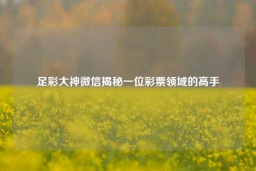 足彩大神微信揭秘一位彩票领域的高手