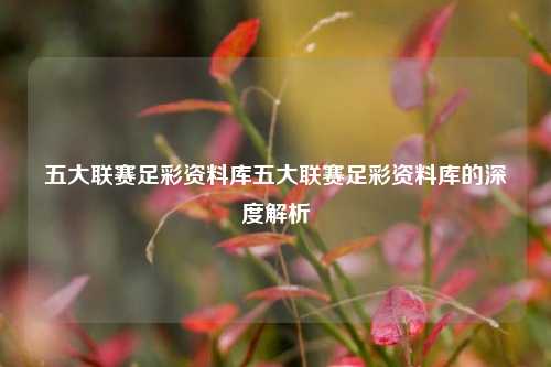 五大联赛足彩资料库五大联赛足彩资料库的深度解析