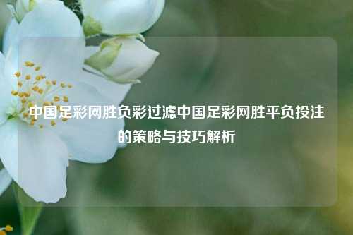 中国足彩网胜负彩过滤中国足彩网胜平负投注的策略与技巧解析