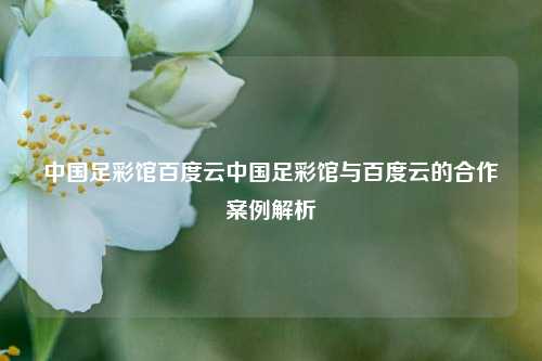 中国足彩馆百度云中国足彩馆与百度云的合作案例解析