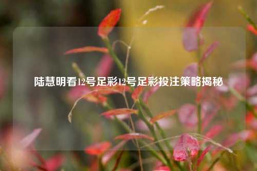 陆慧明看12号足彩12号足彩投注策略揭秘