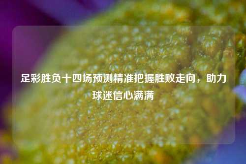 足彩胜负十四场预测精准把握胜败走向，助力球迷信心满满
