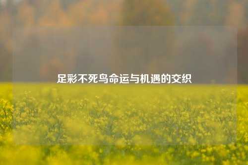 足彩不死鸟命运与机遇的交织