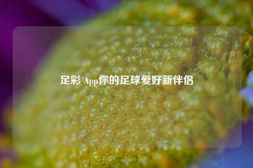 足彩 App你的足球爱好新伴侣