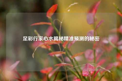 足彩行家心水揭秘精准预测的秘密