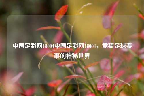 中国足彩网18004中国足彩网18004，竞猜足球赛事的神秘世界