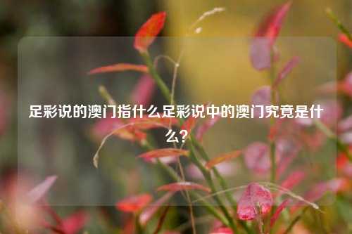 足彩说的澳门指什么足彩说中的澳门究竟是什么？