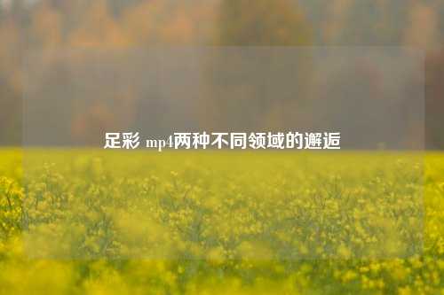 足彩 mp4两种不同领域的邂逅