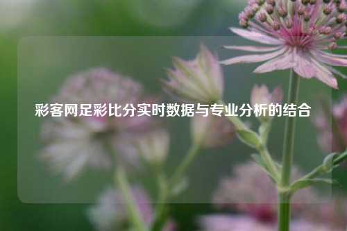 彩客网足彩比分实时数据与专业分析的结合