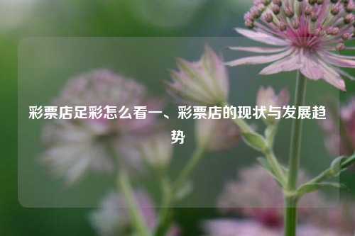彩票店足彩怎么看一、彩票店的现状与发展趋势