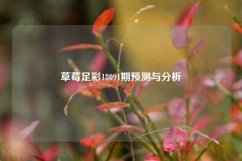 草莓足彩18091期预测与分析